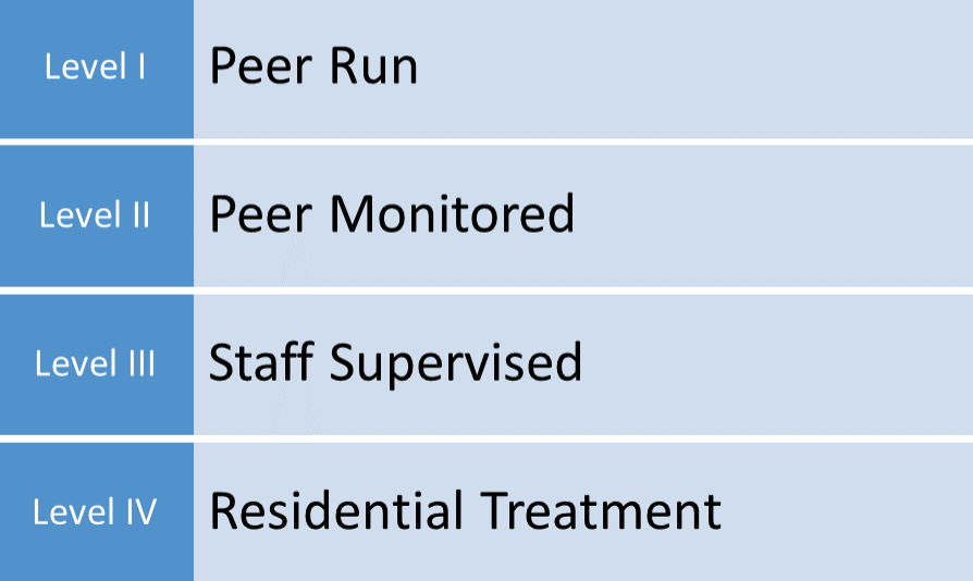 Social Model of Recovery Housing